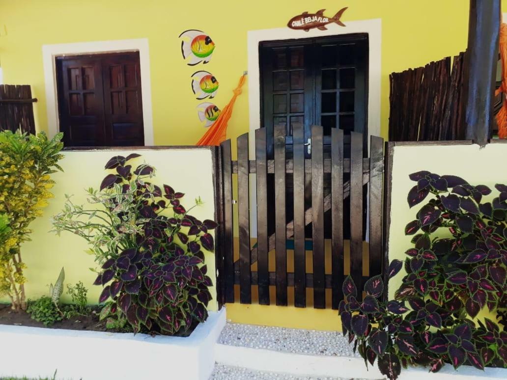 Pousada Vale Encantado São Miguel dos Milagres Exterior foto